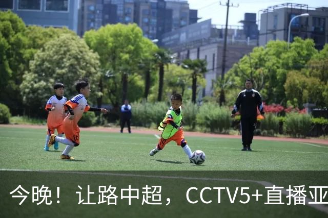今晚！让路中超，CCTV5+直播亚运会中国男篮PK日本，郭士强迎利好，剑指冠军